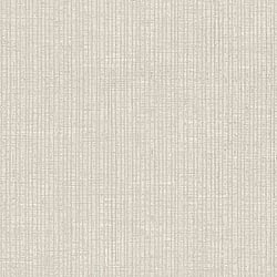 Galerie Wallcoverings Product Code 28891 - Structura Wallpaper Collection - Silver Grey Colours - VERTICALE THEMA Design