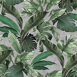 Galerie Wallcoverings Product Code 34197 - Loft 2 Wallpaper Collection - Green, Grey Colours - Tropical Wall Panel Design
