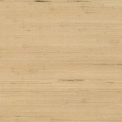 Galerie Wallcoverings Product Code 488-433 - Grasscloth 2 Wallpaper Collection -  Jute Design