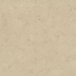 Galerie Wallcoverings Product Code 56840 - The Textures Book Wallpaper Collection - Gold Colours - Brushed Texture Design