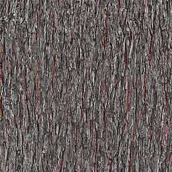 Galerie Wallcoverings Product Code AM30010 - Amazonia Wallpaper Collection - Brown Colours - Bark Design