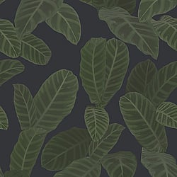 Galerie Wallcoverings Product Code ED13126 - Ted Baker Eden Wallpaper Collection - Navy Blue Green Colours - Piner Design
