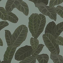Galerie Wallcoverings Product Code ED13129 - Ted Baker Eden Wallpaper Collection - Blue Green Colours - Piner Design