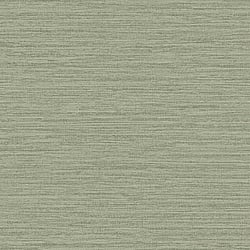 Galerie Wallcoverings Product Code F-FG6008 - Boutique Wallpaper Collection - Green Colours - Horizontal Weave Design