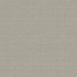 Galerie Wallcoverings Product Code F-SR8004 - Lustre Wallpaper Collection - Bronze Brown Colours - Plain Design