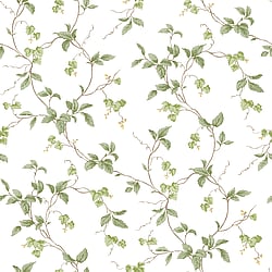 Galerie Wallcoverings Product Code G12265 - Kitchen Recipes Wallpaper Collection -   