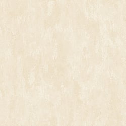 Galerie Wallcoverings Product Code G56238 - Steampunk Wallpaper Collection - Cream Colours - Plain texture Design