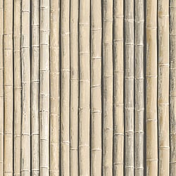 Galerie Wallcoverings Product Code G67940 - Organic Textures Wallpaper Collection - Brown Colours - Bamboo Design