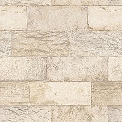 Galerie Wallcoverings Product Code G67968 - Organic Textures Wallpaper Collection - Beige Colours - Organic Stone Design