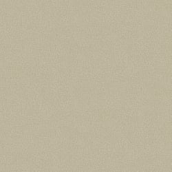 Galerie Wallcoverings Product Code G78163 - Texture Fx Wallpaper Collection - Olivey Beige Colours - Micro Linen Design