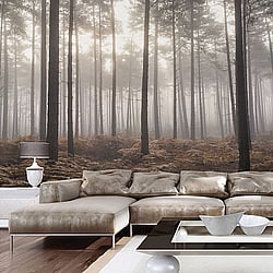 Galerie Wallcoverings Product Code G78426 - Atmosphere Wallpaper Collection -   