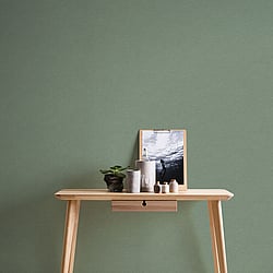 Galerie Wallcoverings Product Code HV41017 - Blooming Wild Wallpaper Collection - Green Colours - Havana Plain Texture Design