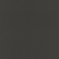 Galerie Wallcoverings Product Code SK21129 - Skandinavia 2 Wallpaper Collection - Black Colours - Black Plain Design